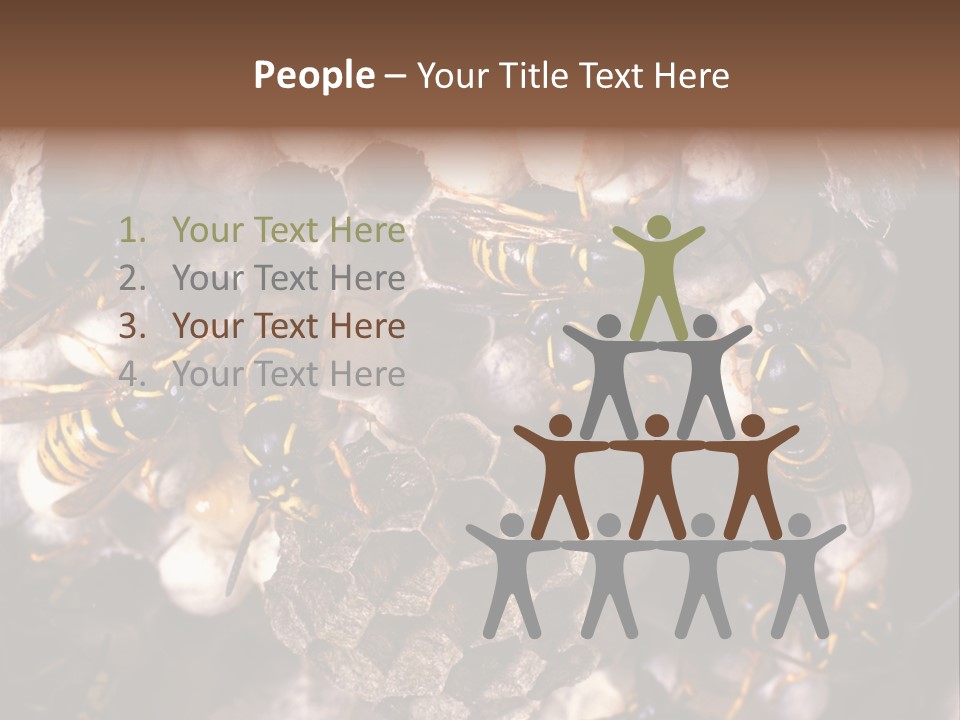 Paris Spring Surfing PowerPoint Template