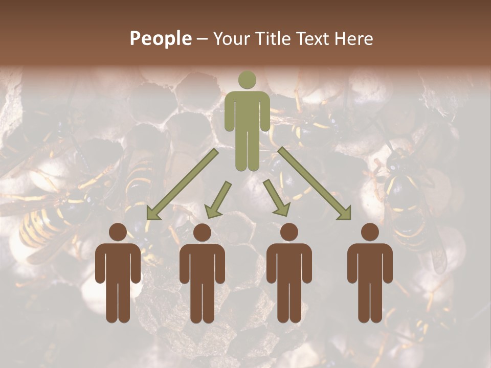 Paris Spring Surfing PowerPoint Template