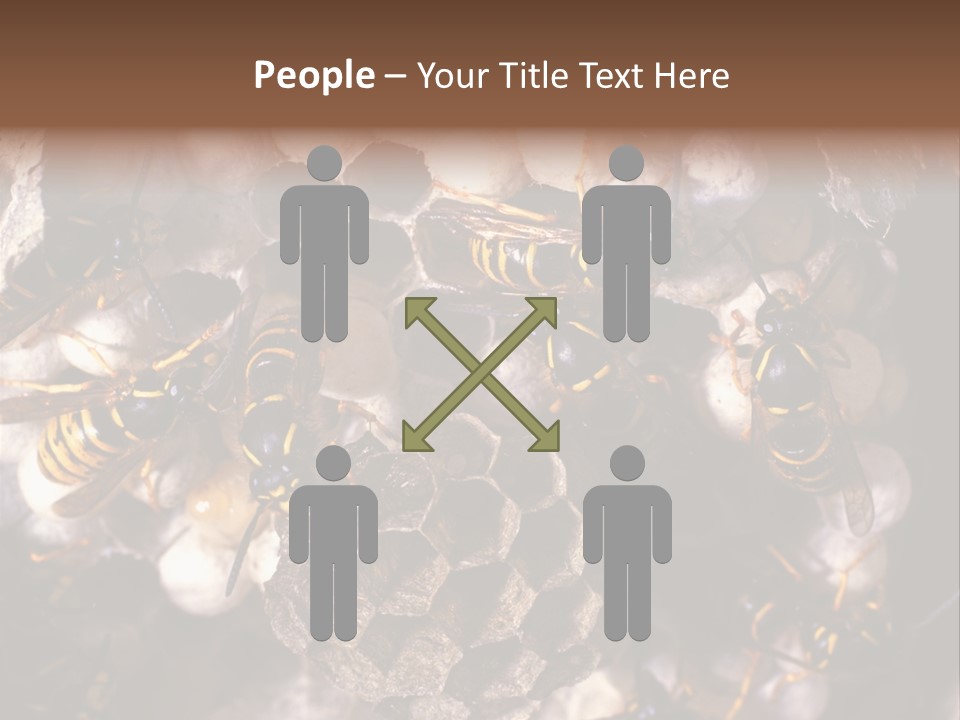 Paris Spring Surfing PowerPoint Template