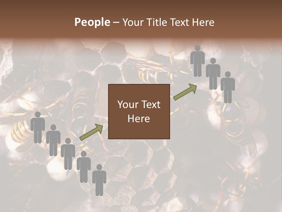 Paris Spring Surfing PowerPoint Template