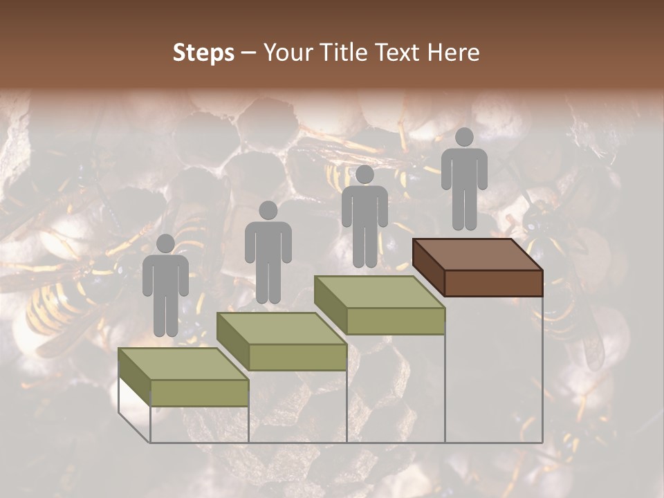 Paris Spring Surfing PowerPoint Template