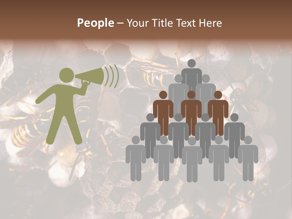 Paris Spring Surfing PowerPoint Template