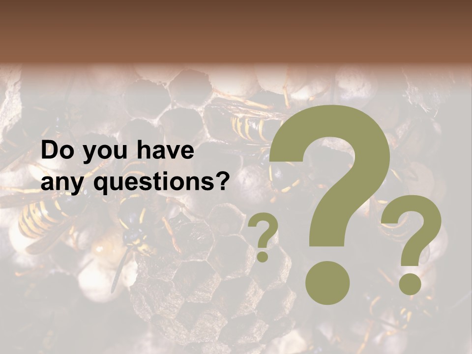 Paris Spring Surfing PowerPoint Template