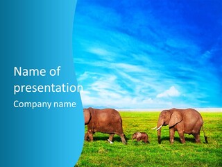 Wilderness Animal Family PowerPoint Template
