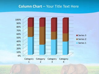 Wilderness Animal Family PowerPoint Template