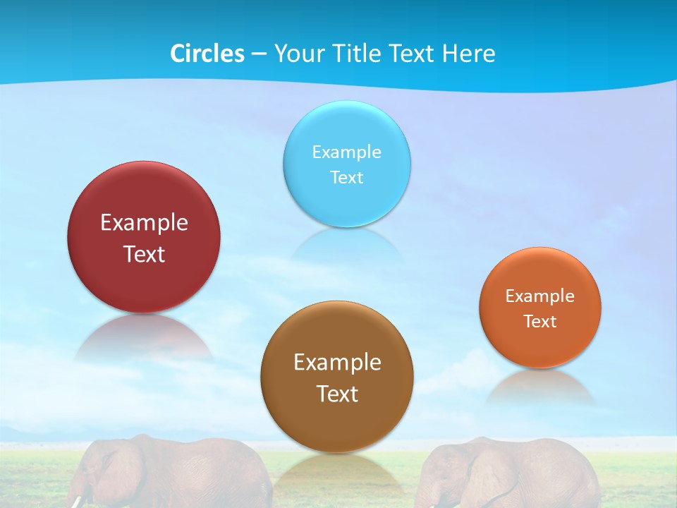 Wilderness Animal Family PowerPoint Template