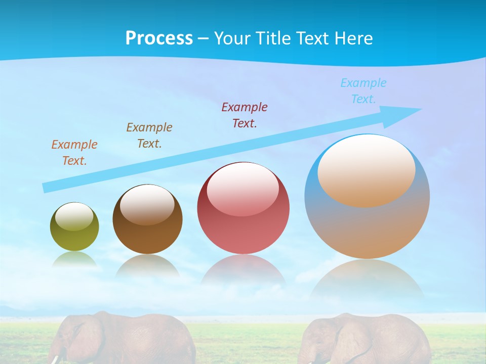 Wilderness Animal Family PowerPoint Template
