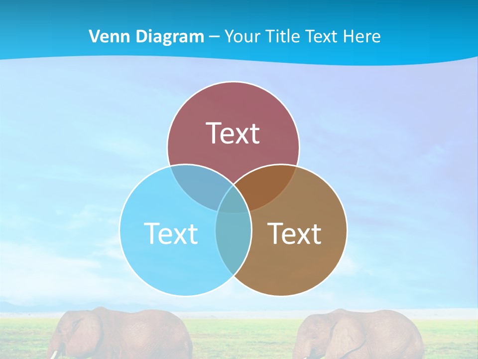 Wilderness Animal Family PowerPoint Template