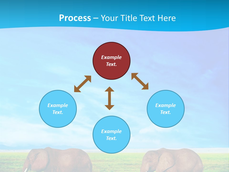 Wilderness Animal Family PowerPoint Template