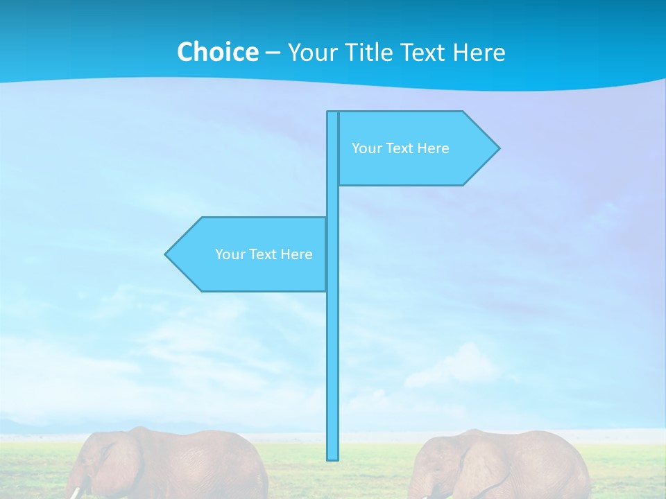 Wilderness Animal Family PowerPoint Template