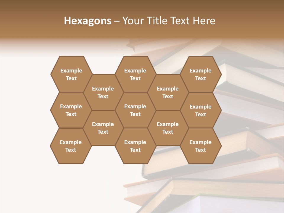 School Educational Information PowerPoint Template