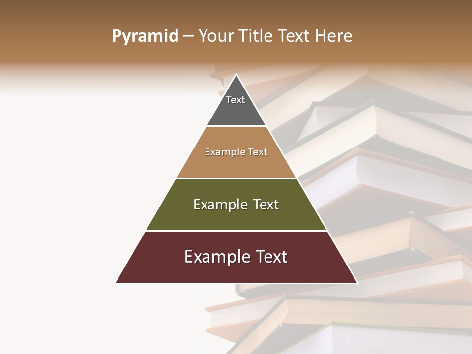 School Educational Information PowerPoint Template