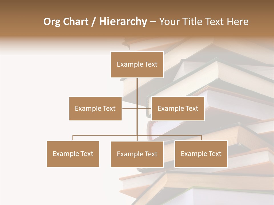 School Educational Information PowerPoint Template