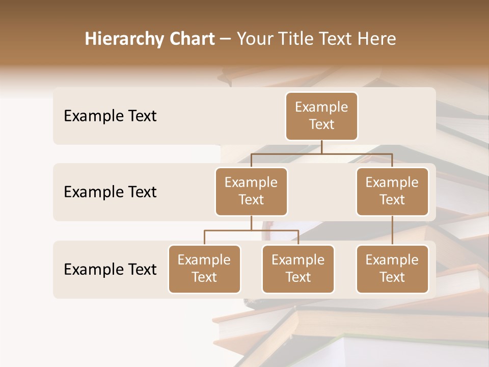 School Educational Information PowerPoint Template