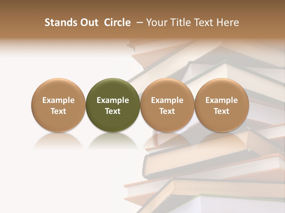 School Educational Information PowerPoint Template