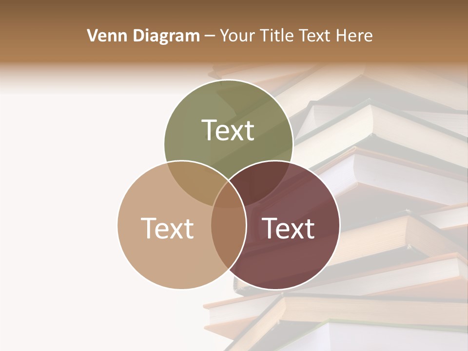 School Educational Information PowerPoint Template