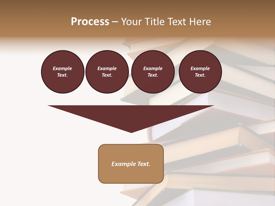 School Educational Information PowerPoint Template