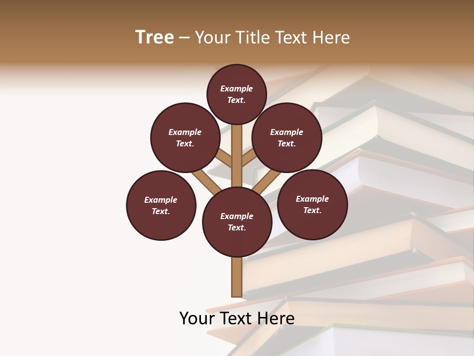 School Educational Information PowerPoint Template