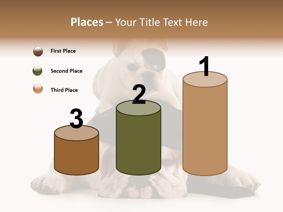 Paws Canine Mates PowerPoint Template
