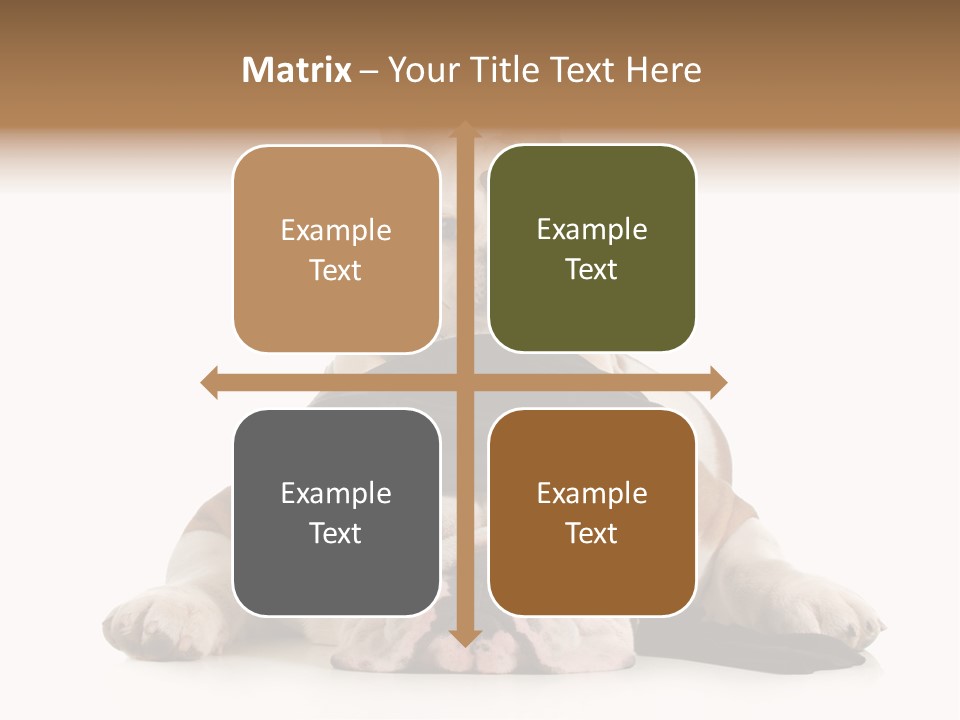 Paws Canine Mates PowerPoint Template