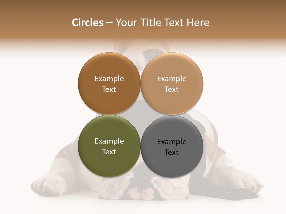 Paws Canine Mates PowerPoint Template