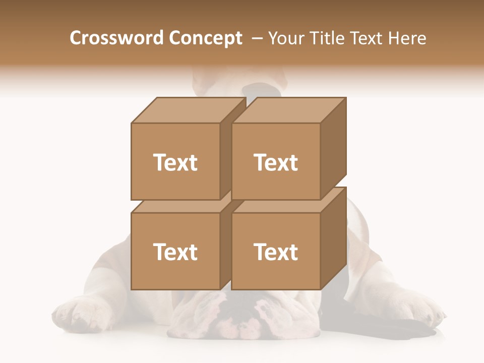 Paws Canine Mates PowerPoint Template