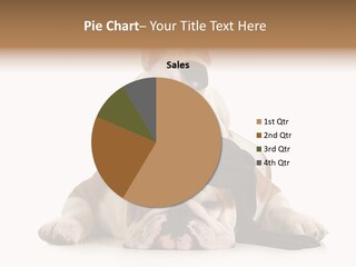 Paws Canine Mates PowerPoint Template