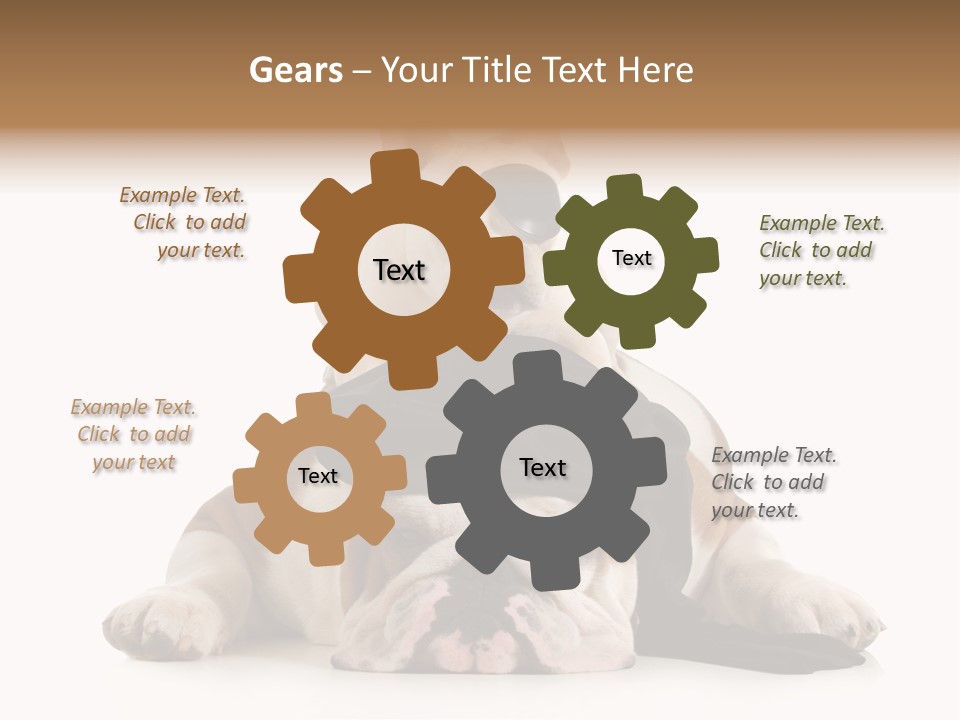 Paws Canine Mates PowerPoint Template