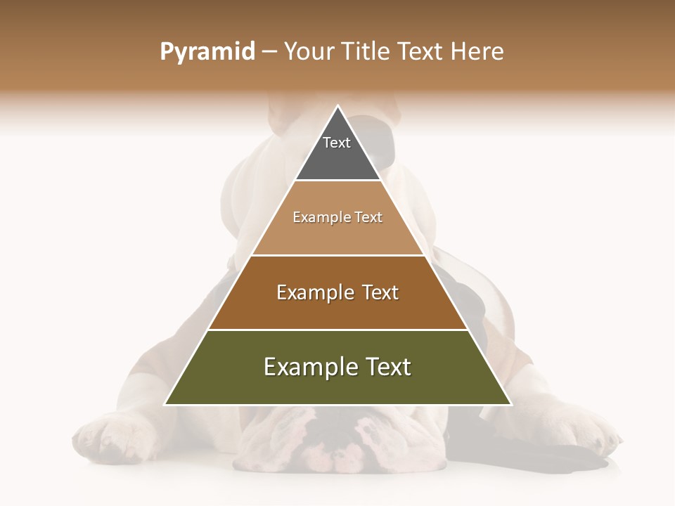 Paws Canine Mates PowerPoint Template