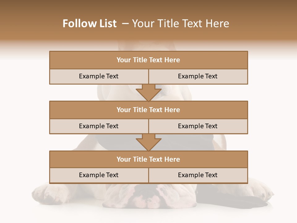 Paws Canine Mates PowerPoint Template