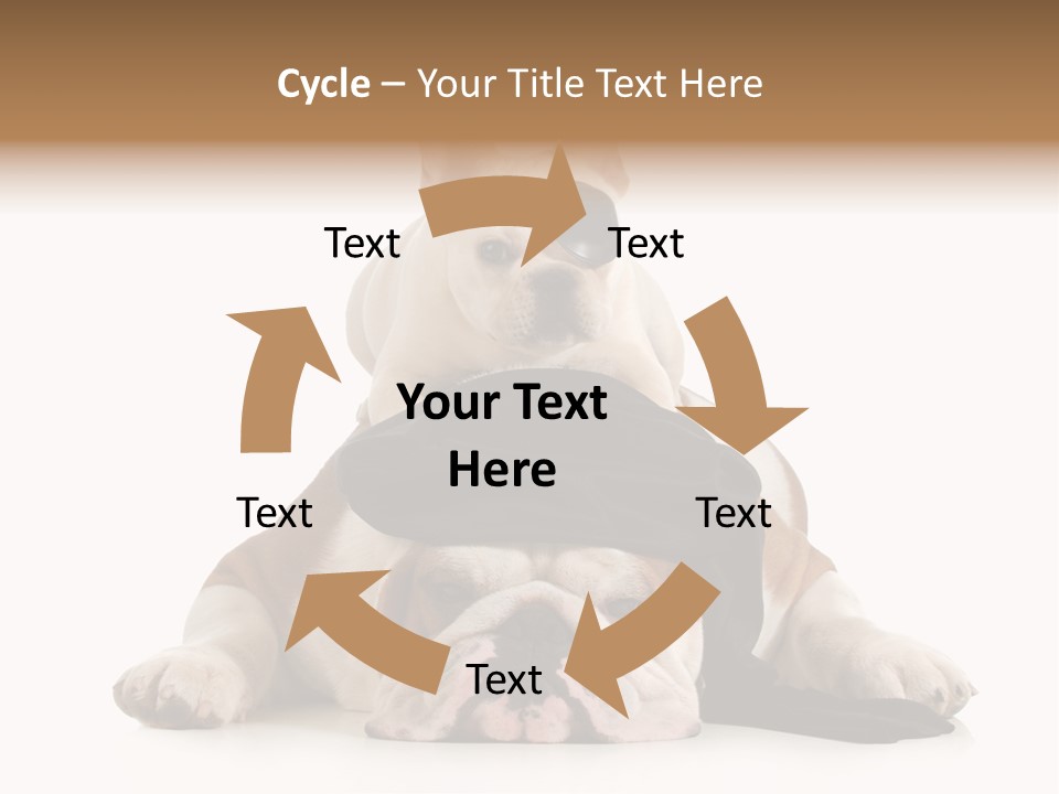 Paws Canine Mates PowerPoint Template