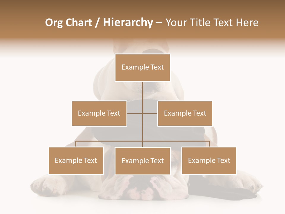 Paws Canine Mates PowerPoint Template