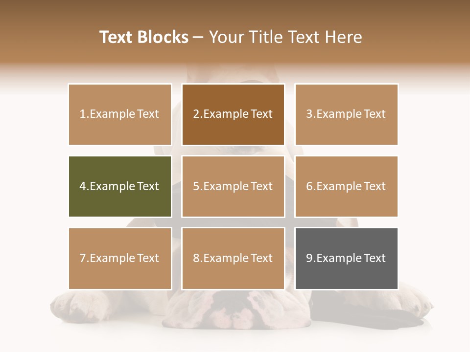 Paws Canine Mates PowerPoint Template