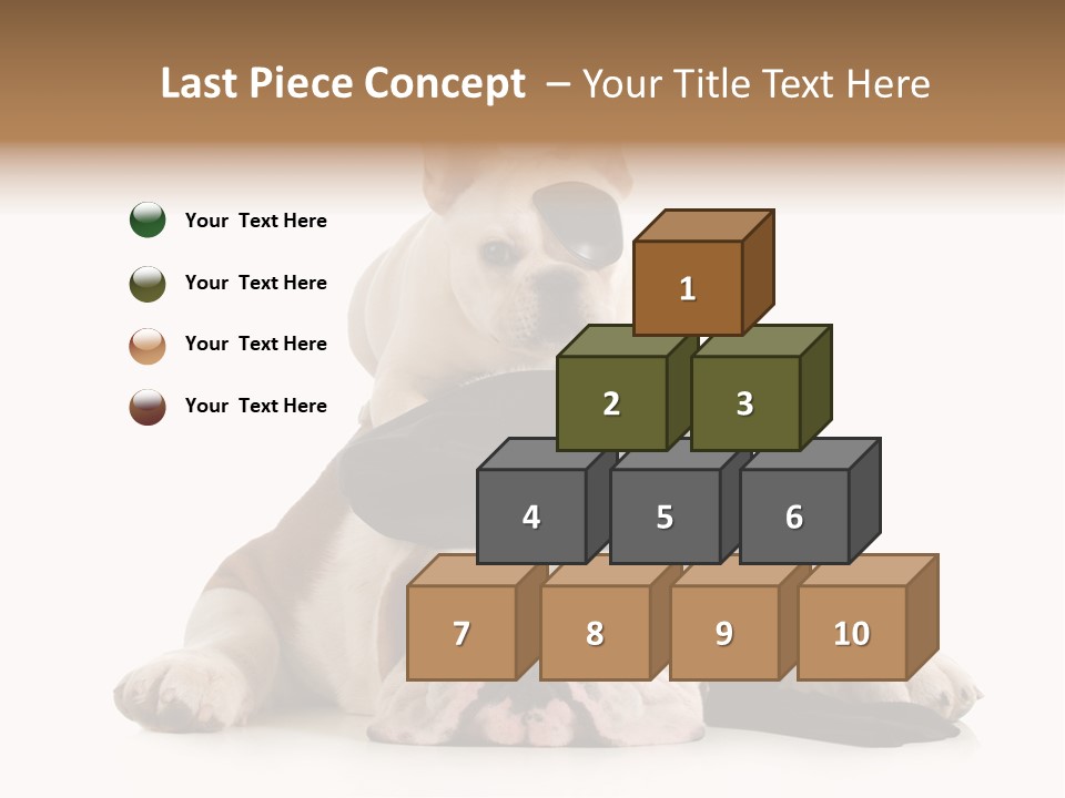 Paws Canine Mates PowerPoint Template