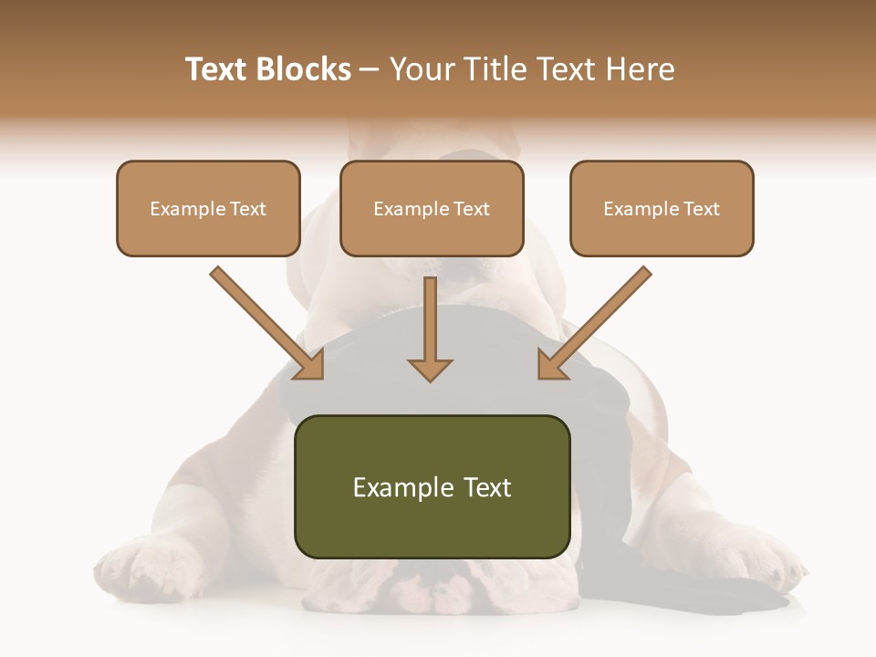 Paws Canine Mates PowerPoint Template
