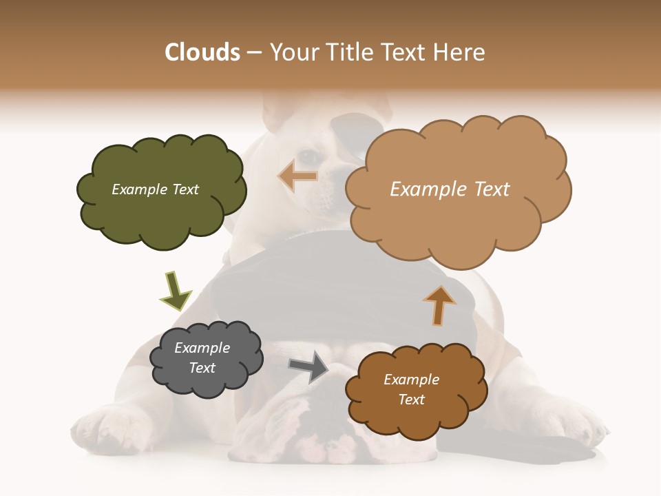 Paws Canine Mates PowerPoint Template