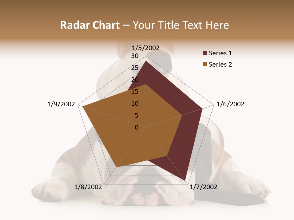 Paws Canine Mates PowerPoint Template