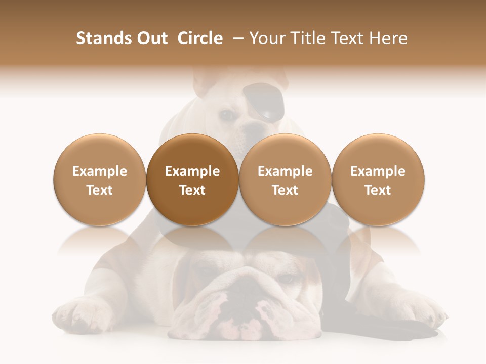 Paws Canine Mates PowerPoint Template