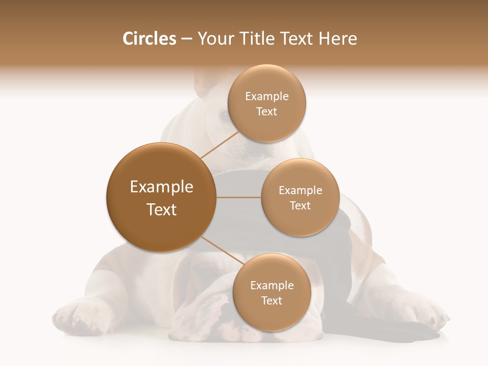 Paws Canine Mates PowerPoint Template