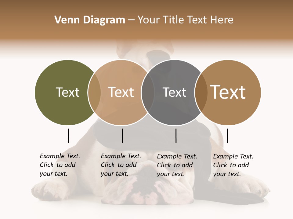 Paws Canine Mates PowerPoint Template