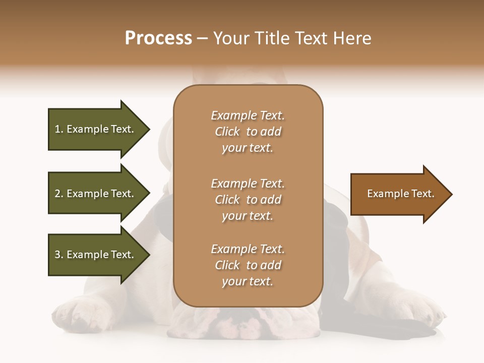 Paws Canine Mates PowerPoint Template