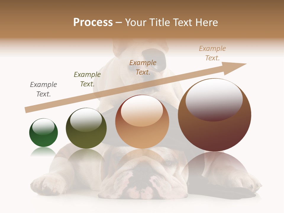 Paws Canine Mates PowerPoint Template