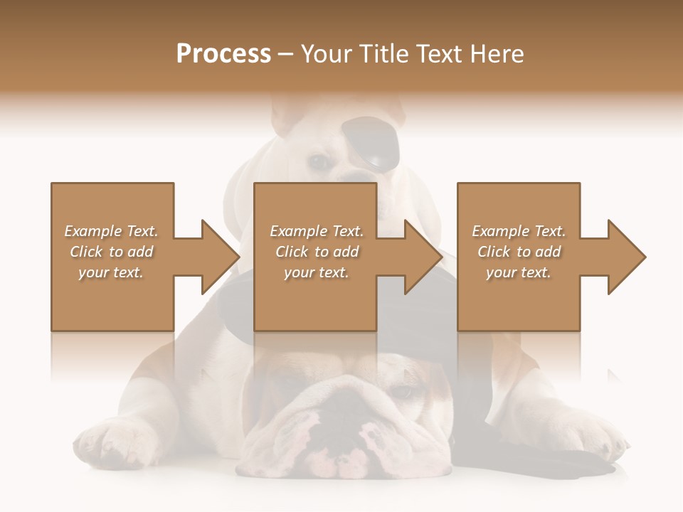 Paws Canine Mates PowerPoint Template