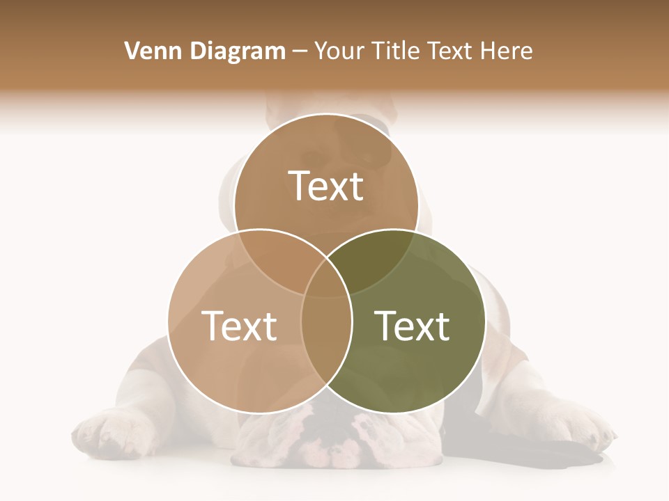 Paws Canine Mates PowerPoint Template