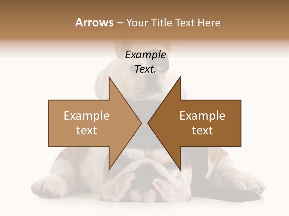 Paws Canine Mates PowerPoint Template