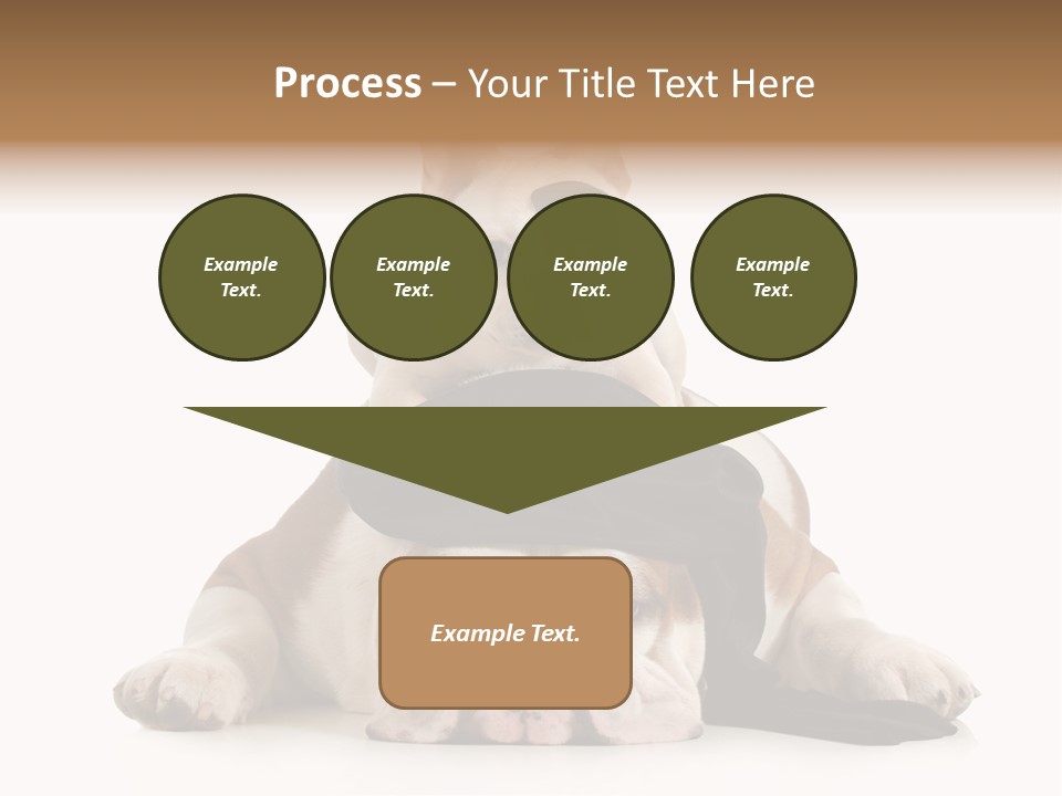 Paws Canine Mates PowerPoint Template