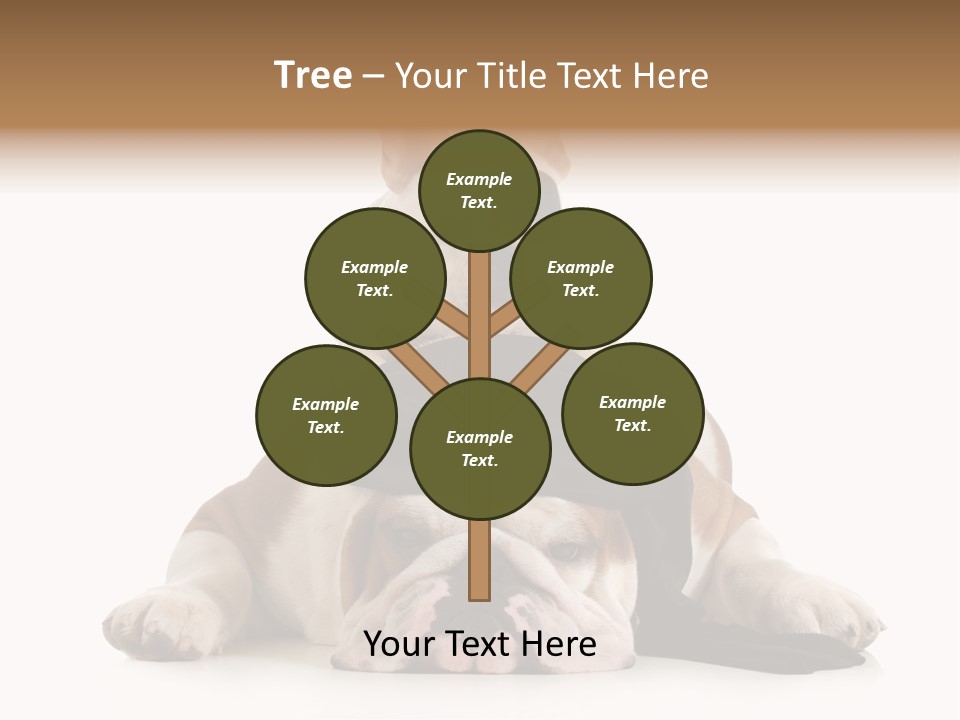 Paws Canine Mates PowerPoint Template