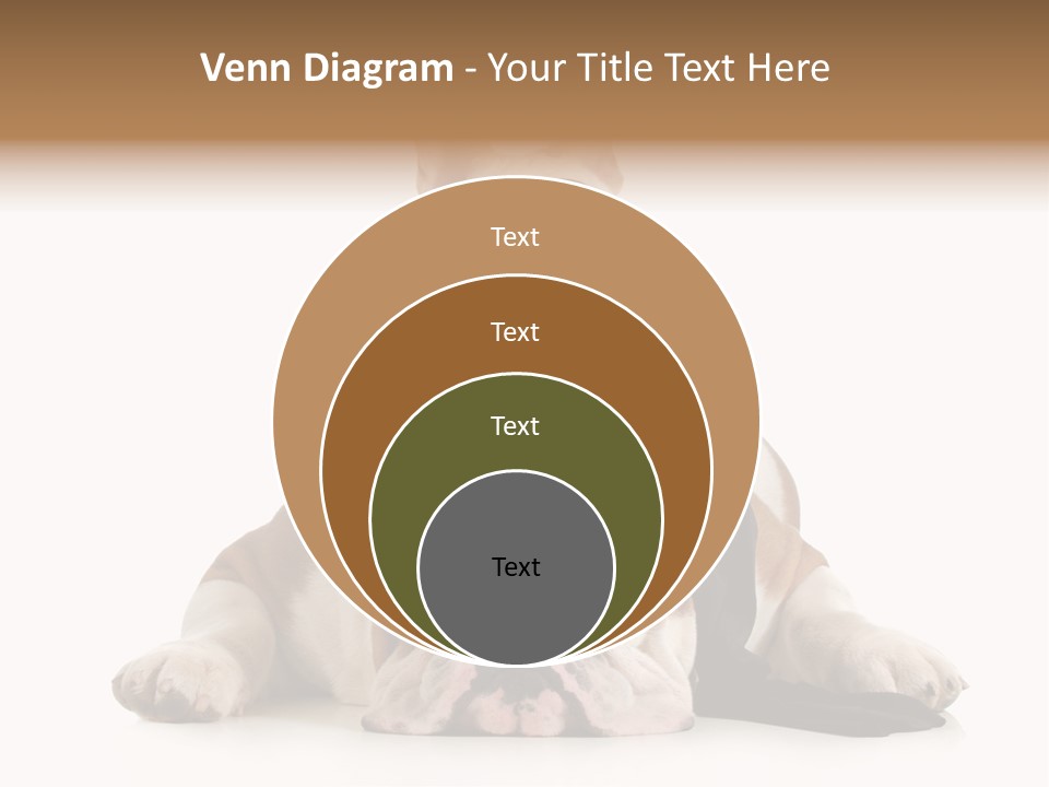 Paws Canine Mates PowerPoint Template