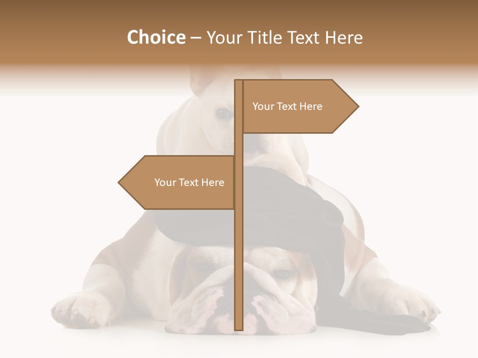Paws Canine Mates PowerPoint Template
