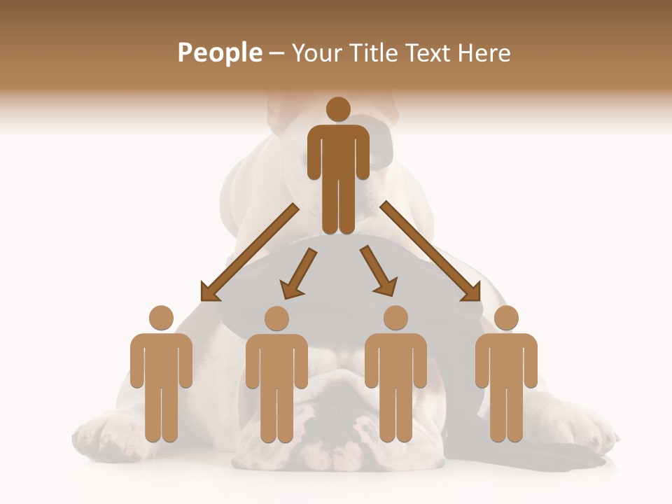 Paws Canine Mates PowerPoint Template